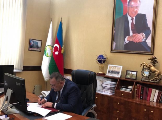 image-3tiz5f2gyfcdsbcraz3xkkeqankfbplz88kueqfy