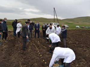 image-9ilepxpynhmlxmtf1pbxyzxqoefsg7cuaiaiolny