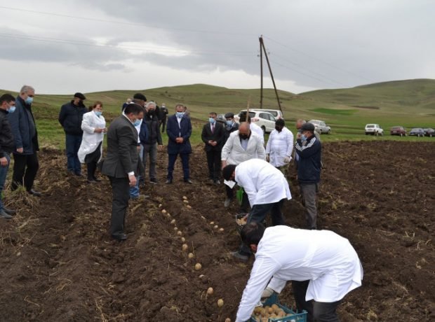 image-9ilepxpynhmlxmtf1pbxyzxqoefsg7cuaiaiolny