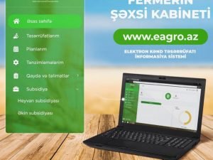 image-bimlnba7fnkbodwk4kluxeurnitfmjj8kazjcnk9