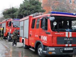 image-fhn