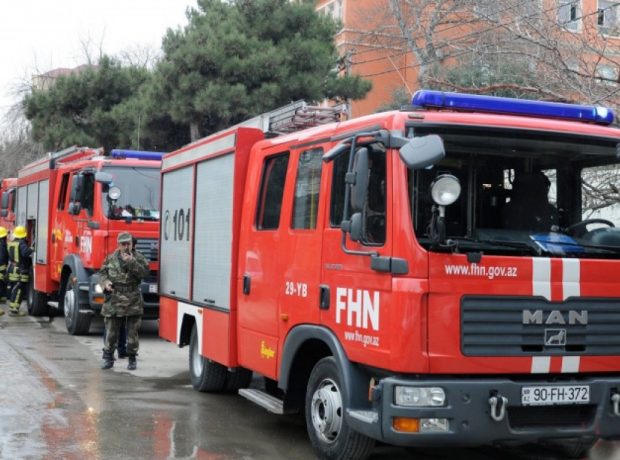 image-fhn