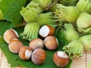 image-h4lybhb6fueakjxugc7hem54yeelzycmykfj5dxh