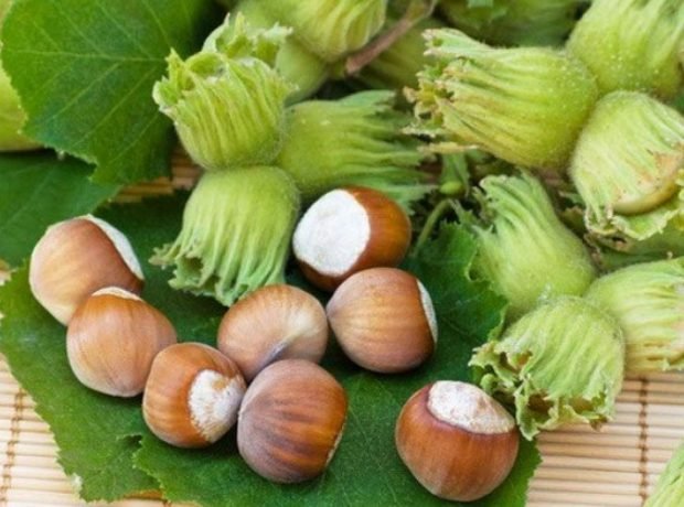 image-h4lybhb6fueakjxugc7hem54yeelzycmykfj5dxh