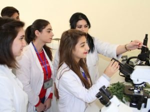 image-hlp2rgr7ctdlixqbox2axrbtayi6catk0zieb83b