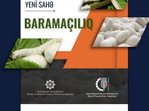 image-m2vnudboph5beg7nmivsobzapfpeec8vkz5o6bkn