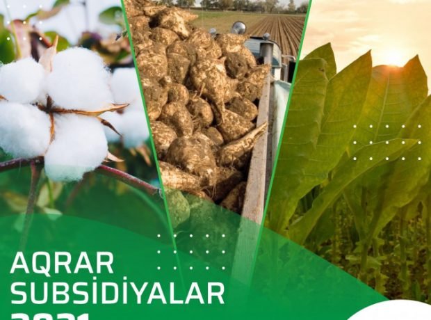 image-mmd6zwlt1lnjtazgujfpugmp2yegpvqdebajzmwv