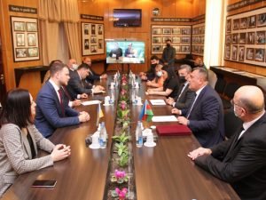 image-rkx27uvfymec7pufugvmsniu9fnykzs20qubpjlu