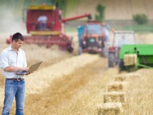 image-rug3klfb6kcclm5rjqfmkiz4fs1p53qtglwkmxdd