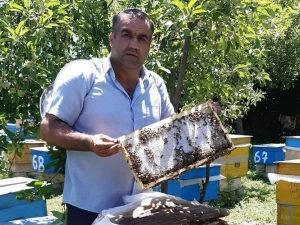 image-screenshot_20210419-203101_gallery