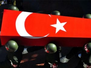 image-sehid