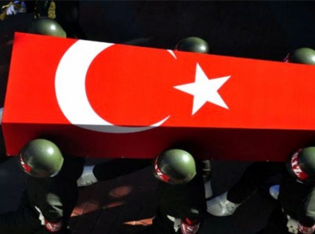 image-sehid