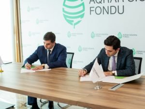 image-ws9shdg01uyvv39tswt9awroprpxwodr3ilsyeyj