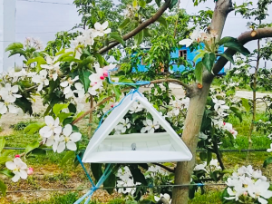 image-2vb9q67h0muveegpgdshsdrvai52ps58ifxuu6vt