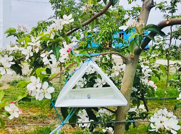 image-2vb9q67h0muveegpgdshsdrvai52ps58ifxuu6vt