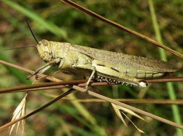 image-7fnxrop2djpbh3qu4jauxois5kjffo5oaxl1wt2v