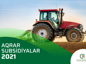 image-a32e11hmhmbdcqehhbcdoz9bibcmnqvsidfmqnvh