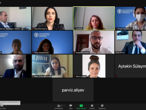 image-bf9xp3eflamv8ka98n0h8puqmmafjpzcli3l919b-1