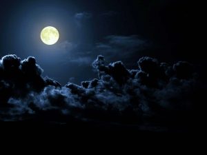image-gece