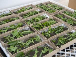 image-n9y8nl5o5dyyloitxtjotftwutmvreqftiongbxa