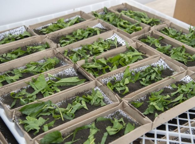 image-n9y8nl5o5dyyloitxtjotftwutmvreqftiongbxa