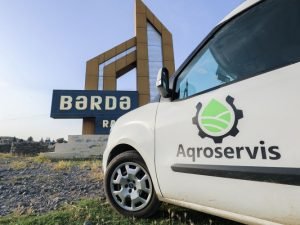 image-ninrskhlotqv59ffgbf2tjhqk4bclvo7smkesuea