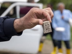 image-vnpyavkidctucgyyj3rzuytmwks5ozsaaqgljl6v