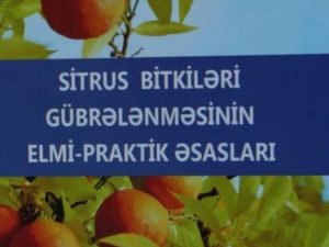 image-vo8oaoend0y19mzzg2hg8flgx6418mflb6lxhovq