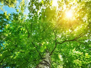 image-weather_180520_3
