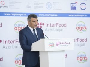 image-2zrxgszfqgrw6j95s9vkxj04fxjv28d4ey5ju1s9