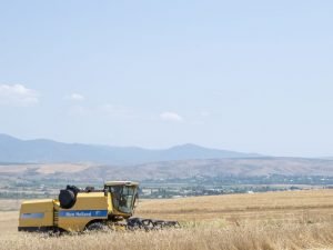 image-3mr7mwjvnofdczold6v9bpnnkqpgvy3el4flsahq