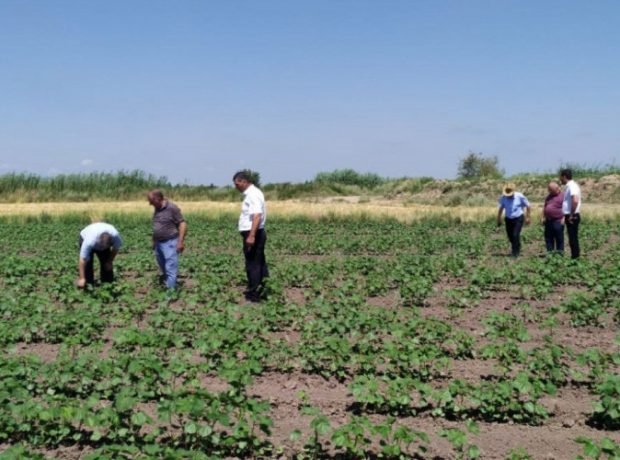 image-img-20210622-wa0048