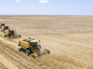 image-ohiv1h7qybisvehr4btbd0kvbbe2xe58epbjakg8