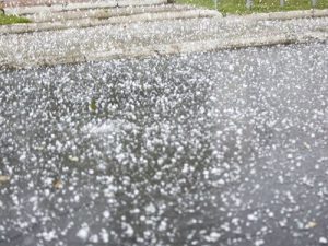 image-photo_111576