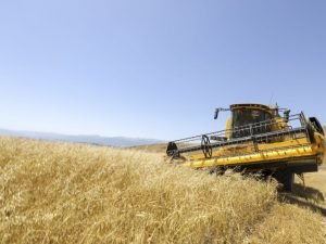 image-x8myndjsx1npcrpzhrwmbjdaihfokoaxq9zjq2em