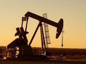 image-197788255_543918817017790_6475475127123370246_n