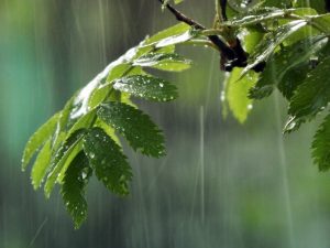 image-7c70d6d5-2c0b-4667-ac32-257e93e06c8c_850