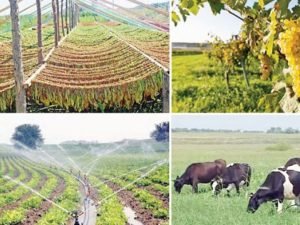 image-9a8d9451c7428ca1f3c92d79ce05ee3b_xl