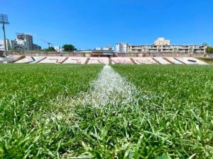 image-img_20210727_181938_623