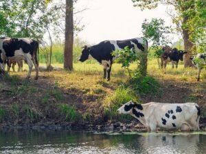 image-jtmpfhktnbsdqkqxyjvlgikrzy5jc3tmgy9thwwd