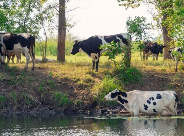 image-jtmpfhktnbsdqkqxyjvlgikrzy5jc3tmgy9thwwd