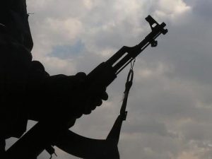 image-pkk-1476689_2