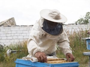 image-qjqrmspovb20yyowemabc44fmmjr4sxresqh2rkz