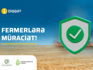 image-zbqllt5hbzomtfjykipvlooh6k0ap8jqorinpici