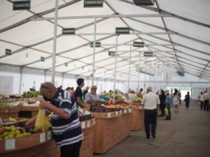 image-zqjbfll22ew2v1hyfaar8mwdhr8bgiftdomcbekv