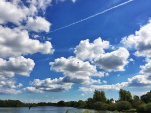 image-1601026462_c8c85d10-f93e-36b6-96e4-49d04632a960_850-1