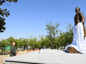 image-16302577535726933059_1000x669