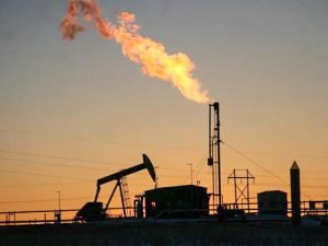 image-42054da4e9bc20fa259c3205c5f50954