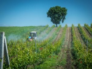 image-6vlixunbeeu5amizxcor5ebwo4lzotfopc4caa78