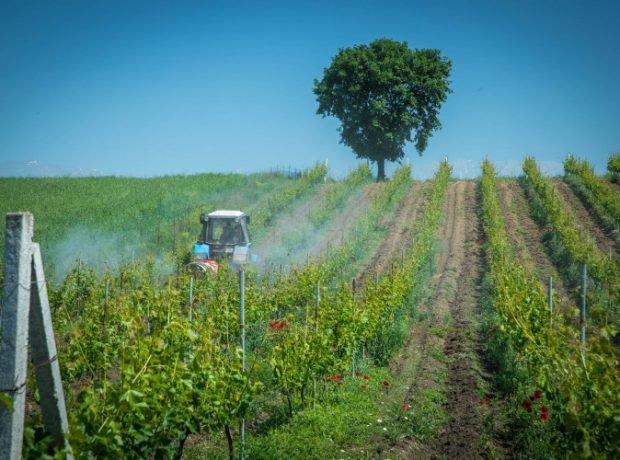 image-6vlixunbeeu5amizxcor5ebwo4lzotfopc4caa78